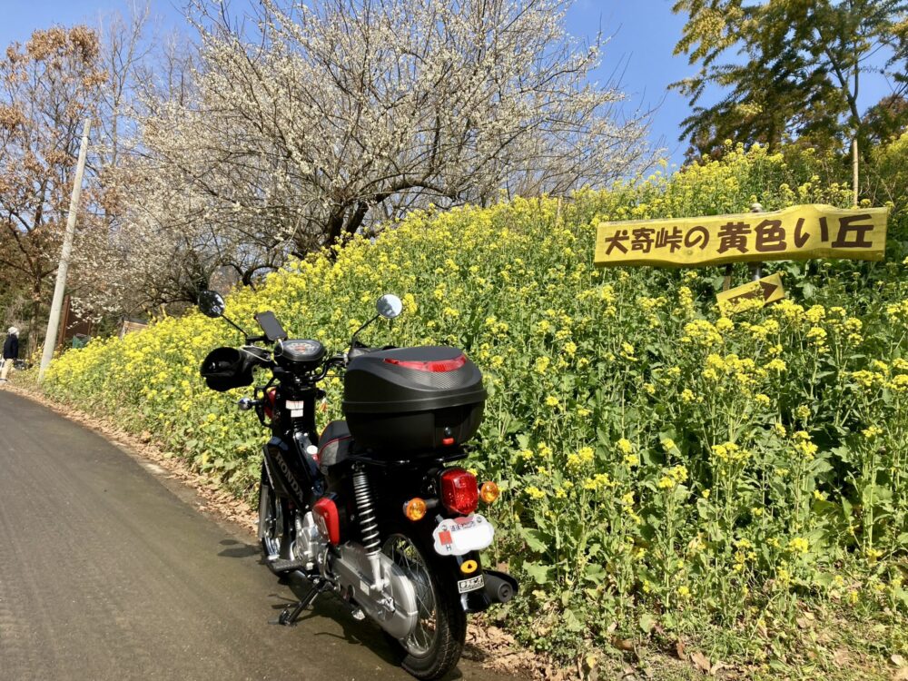 クロスカブ50で愛媛県伊予市にある黄色い丘までプチツーリングしてきました！