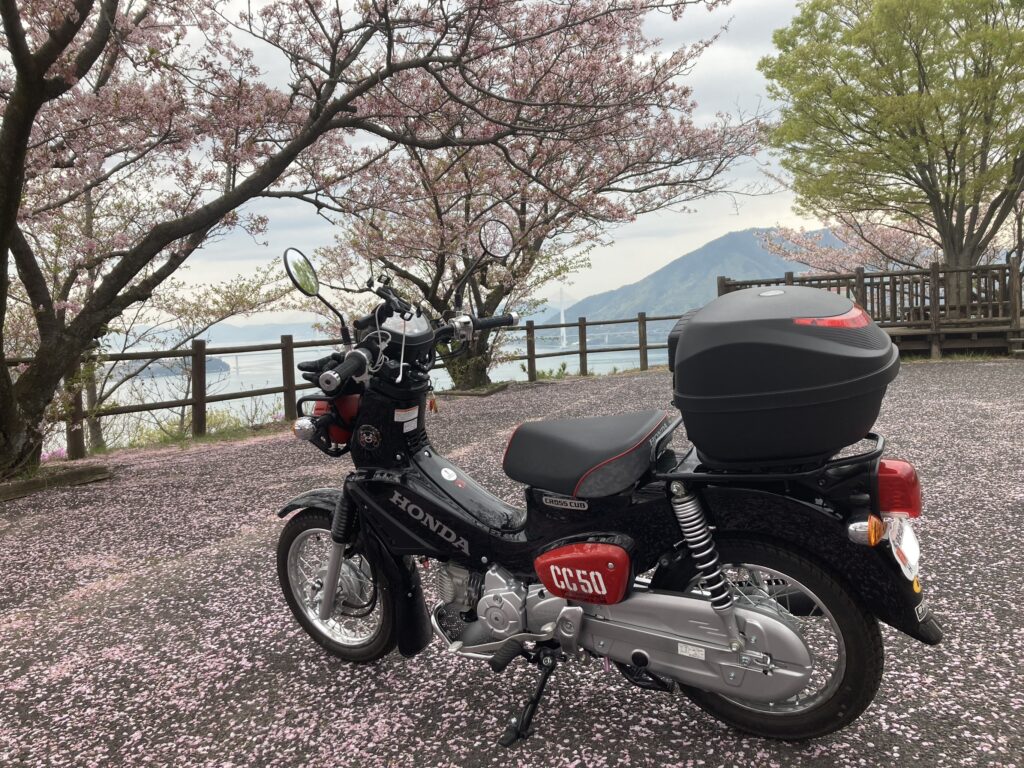 ホンダクロスカブ50でしまなみ海道千本桜ツーリング。イン伯方島　開山公園