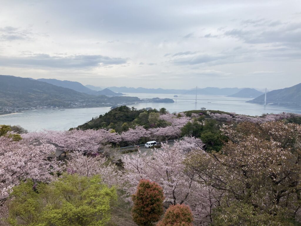 ホンダクロスカブ50でしまなみ海道千本桜ツーリング。イン伯方島　開山公園