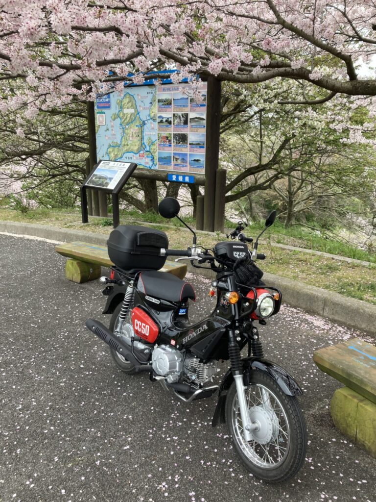 ホンダクロスカブ50で千本桜ツーリング。