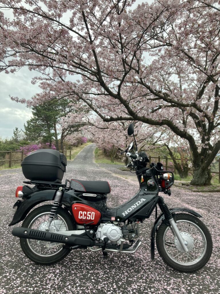 ホンダクロスカブ50でしまなみ海道千本桜ツーリング。イン伯方島　開山公園