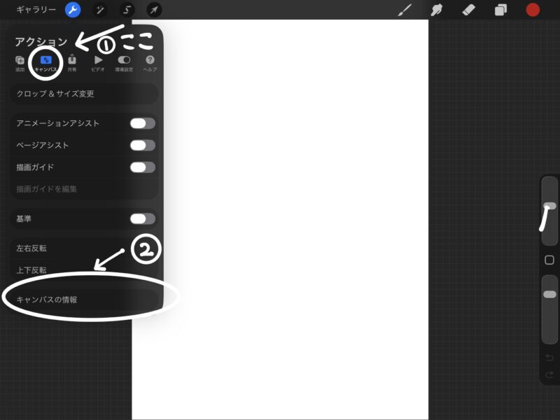 Procreateのアクションメニュー。キャンバスアイコンをタップし、「キャンバスの情報」を選択する手順