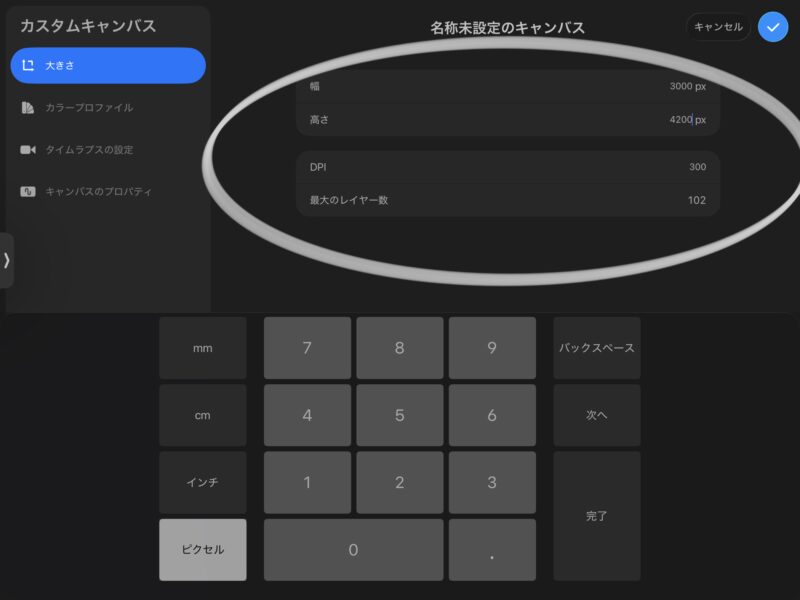 新しいキャンバスサイズを3000×4200ピクセル、DPI300で設定しているProcreateの画面